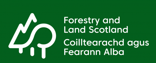 Ae Forest